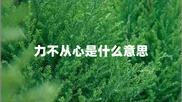 力不从心是什么意思