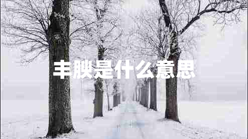 丰腴是什么意思