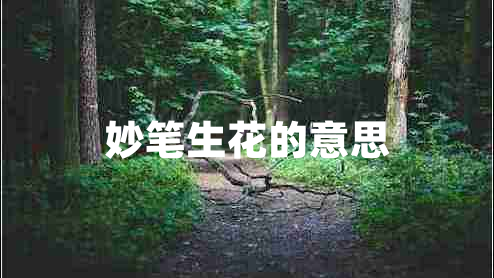 妙笔生花的意思