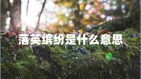 落英缤纷是什么意思