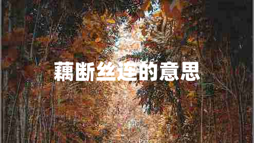 藕断丝连的意思