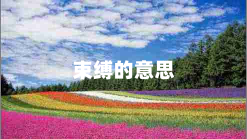 束缚的意思
