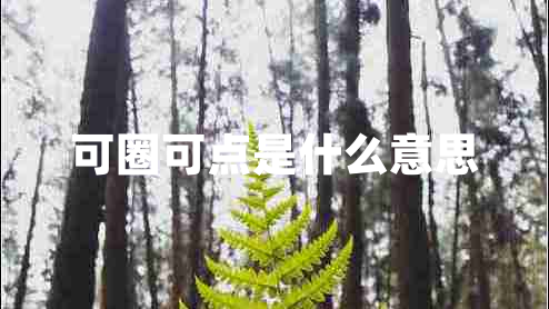 可圈可点是什么意思