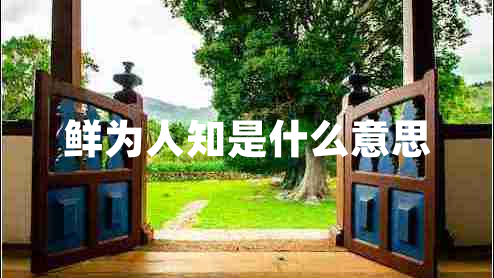 鲜为人知是什么意思