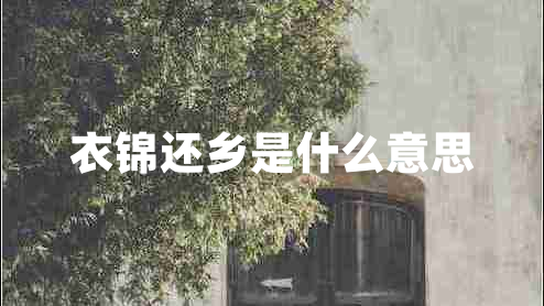 衣锦还乡是什么意思