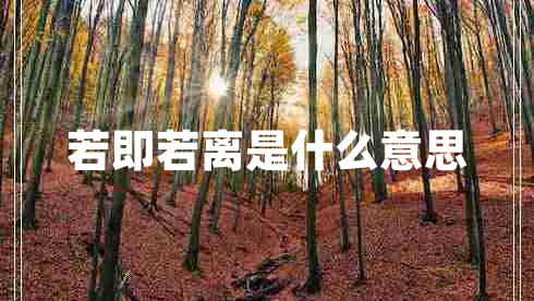 若即若离是什么意思