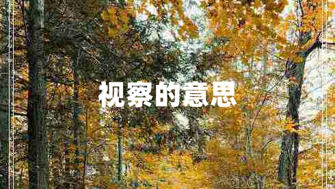 视察的意思