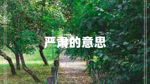 严肃的意思