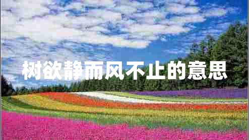 树欲静而风不止的意思