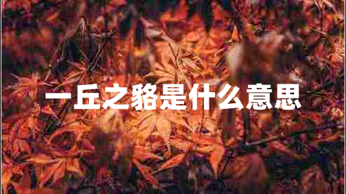 一丘之貉是什么意思
