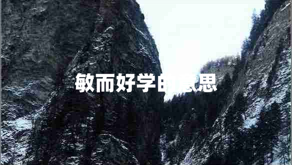 敏而好学的意思