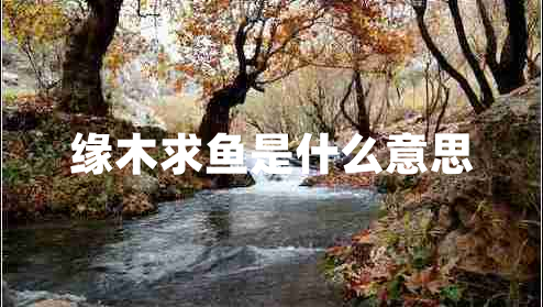缘木求鱼是什么意思