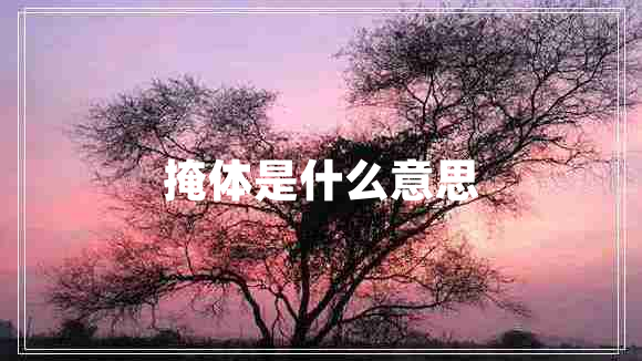 掩体是什么意思