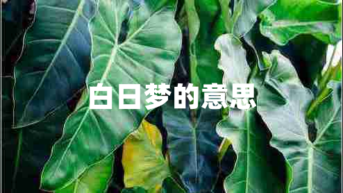 白日梦的意思