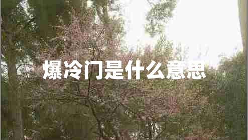 爆冷门是什么意思