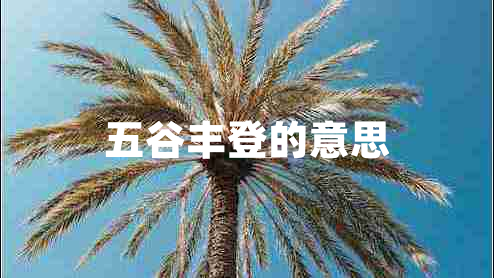 五谷丰登的意思