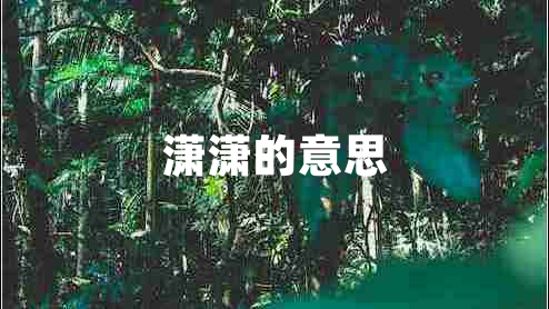 潇潇的意思