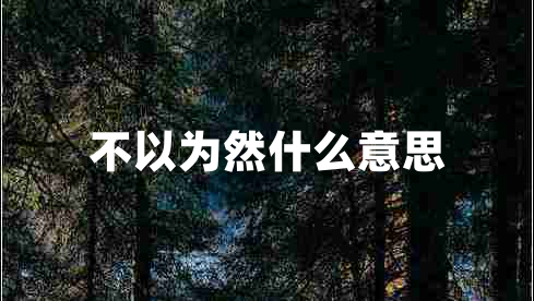 不以为然什么意思
