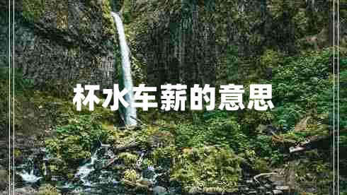 杯水车薪的意思