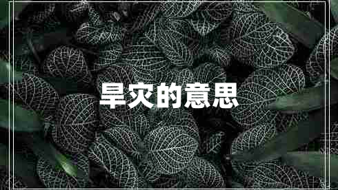 旱灾的意思