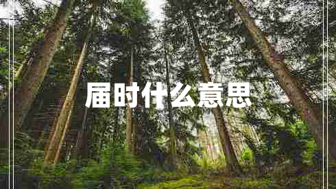届时什么意思
