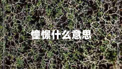 憧憬什么意思