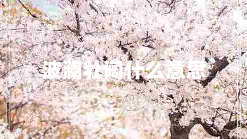 波澜壮阔什么意思