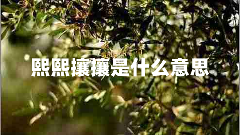 熙熙攘攘是什么意思 熙熙攘攘是什么意思