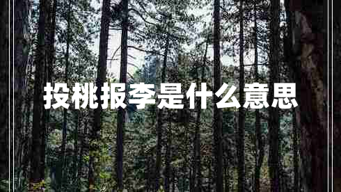 投桃报李是什么意思