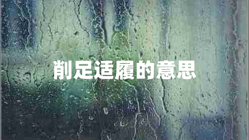 削足适履的意思