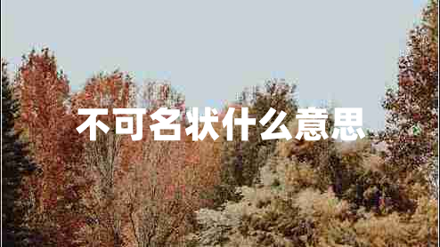 不可名状什么意思