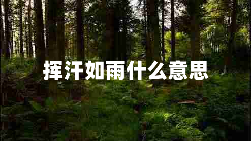 挥汗如雨什么意思