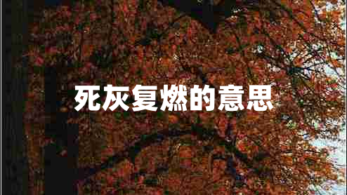 死灰复燃的意思