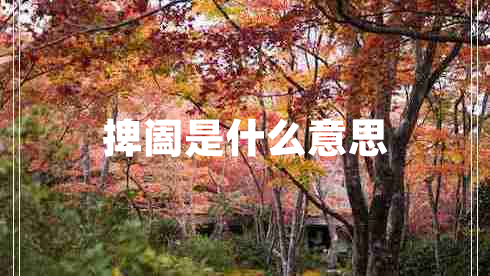 捭阖是什么意思