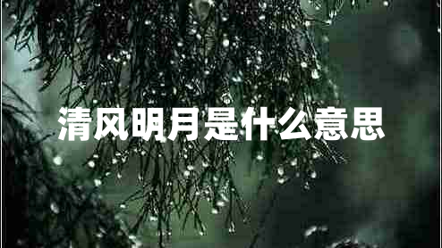 清风明月是什么意思