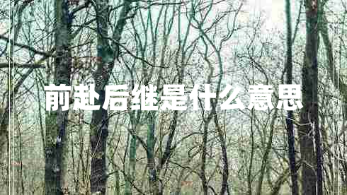 前赴后继是什么意思