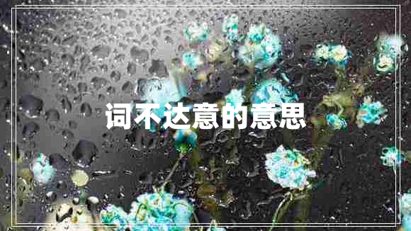 词不达意的意思