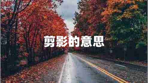 剪影的意思