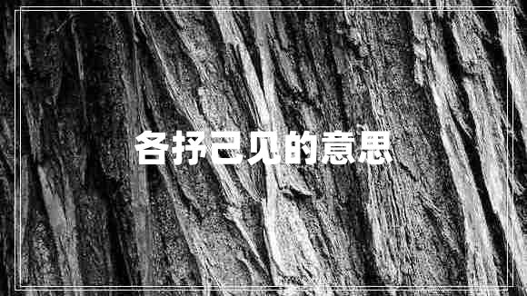 各抒己见的意思