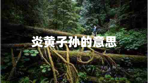 炎黄子孙的意思