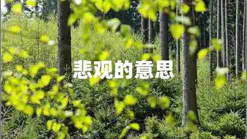 悲观的意思