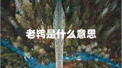 老鸨是什么意思