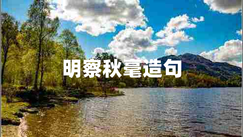 明察秋毫造句