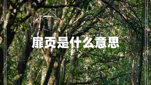 扉页是什么意思