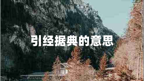 引经据典的意思