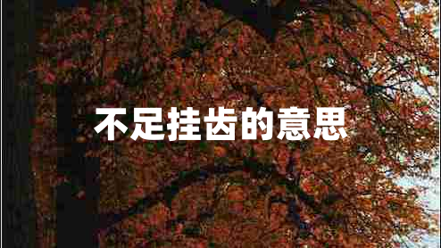 不足挂齿的意思