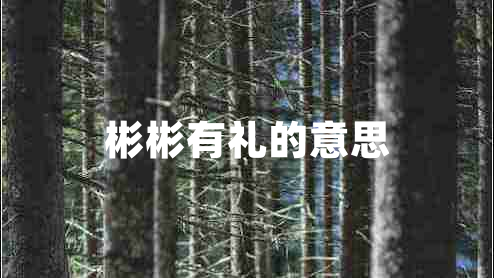 彬彬有礼的意思