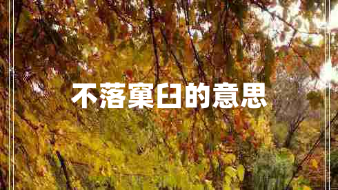 不落窠臼的意思