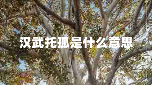 汉武托孤是什么意思