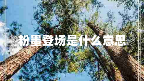 粉墨登场是什么意思